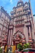 Kultur und Natur auf Sri Lanka