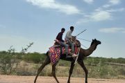 individualreise zur pushkar fair