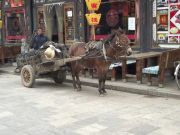 Pfedewagen in Pingyao, China