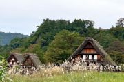 Individualreise nach Japan
