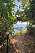 Rejuvenation-Package im SwaSwara, Gokarna