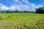 Individualreise Sri Lanka - Natur und Kultur