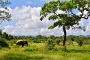 Individualreise Sri Lanka mit Yala Nationalpark