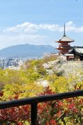 Japanreise massgeschneidert