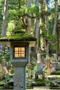 spirituelle Japanreise