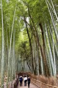 Japanreise Spezialist