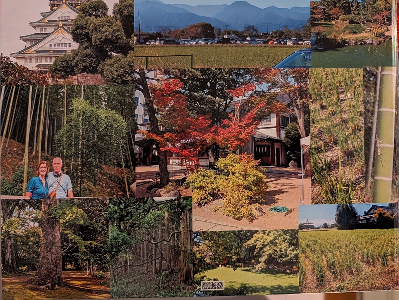 Individualreise Japan